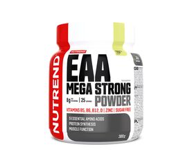 EAA Mega Strong Powder 300g (Nutrend)