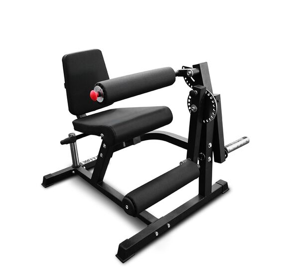 Leg Extension and Curl Machine (X-FIT)